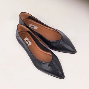 Zilian Pointed Ballet Flats